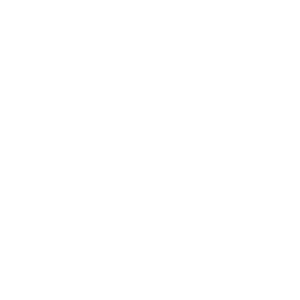 Logo Loading